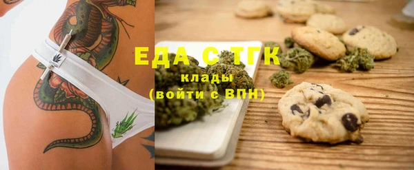 СК Касимов