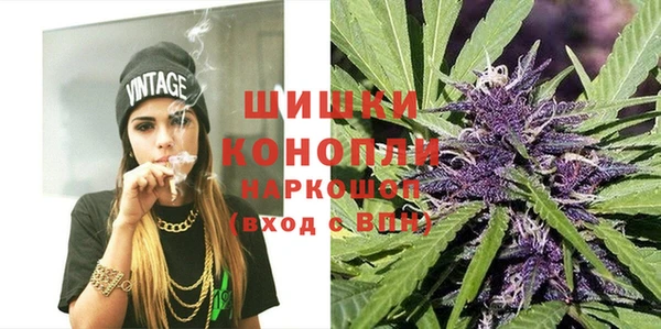 метадон Каменка