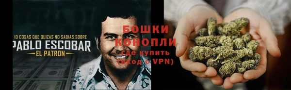 метадон Каменка