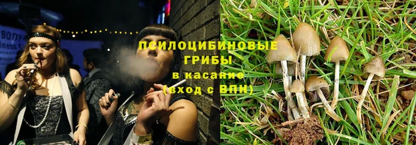бошки Каменногорск