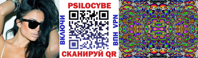 Псилоцибиновые грибы GOLDEN TEACHER  Купить закладки  Калтан 